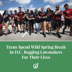 theonion:WASHINGTON—Cheering, yelling, and generally running rampant through the nation’s capital, a group of teens were reportedly spending a wild spring break in Washington, D.C. Tuesday begging lawmakers for their lives. “These kids are all over