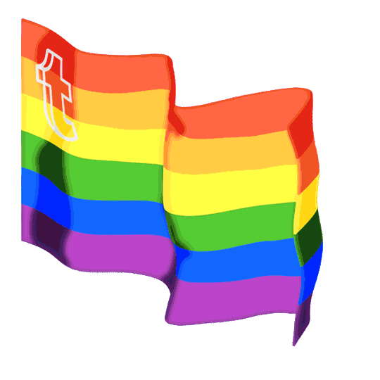 Rebloguea esto si eres gay, lesbiana, bisexual, pansexual, asexual, transgenero o apoyas lo anterior.