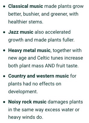 classical-crap:there is a surprising amount of research on the effects of music on plant growth and 