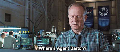     The Avengers Meme: Ten Scenes [6/10] ↳Clint Barton takes the “Hawk” in “Hawkeye” to a whole new level.    