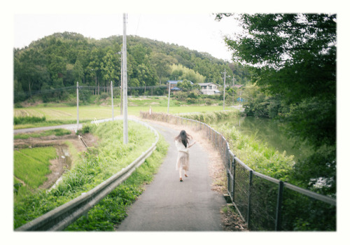  title: 稲穂薫る風が吹く。(The wind blows which smells of rice.) model:麻宮もころ(Mocoro Mamiya)twitter:@mocro_mam