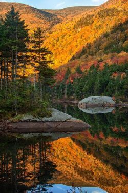 lori-rocks:  New England fall via pinterest