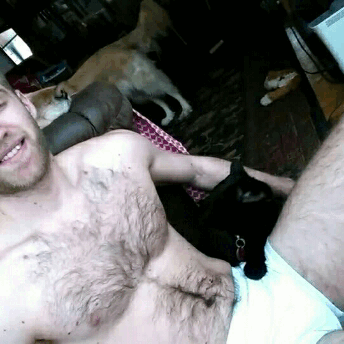 eatnsand:  Black cats are the best