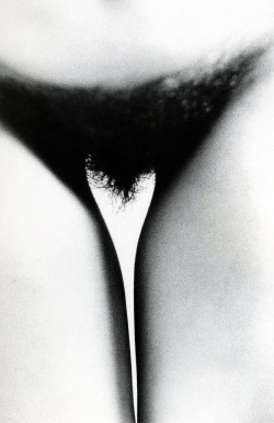 thequietfront:  Ralph Gibson 