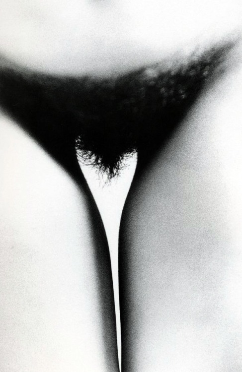 iodomino:  iodomino.  ph by Ralph Gibson  