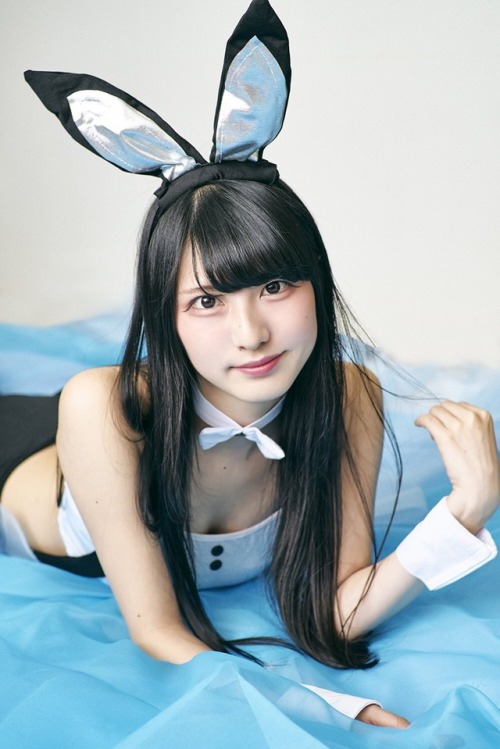 suzushiroz: みりっく ⋈ *さんのツイート: “❣️ bunny girl ❣️ photo:藤崎さん https://t.co/1zlCtTG4to”