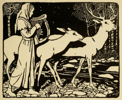 thefugitivesaint: Morris Meredith Williams (1881-1973), “The Scottish Fairy Book” by Elizabeth Wilson Grierson, 1910Source
