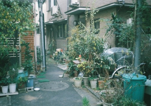 mitsutakatajiri: 東京スナップ／Tokyo candid Konica C35 EF+superia premium400