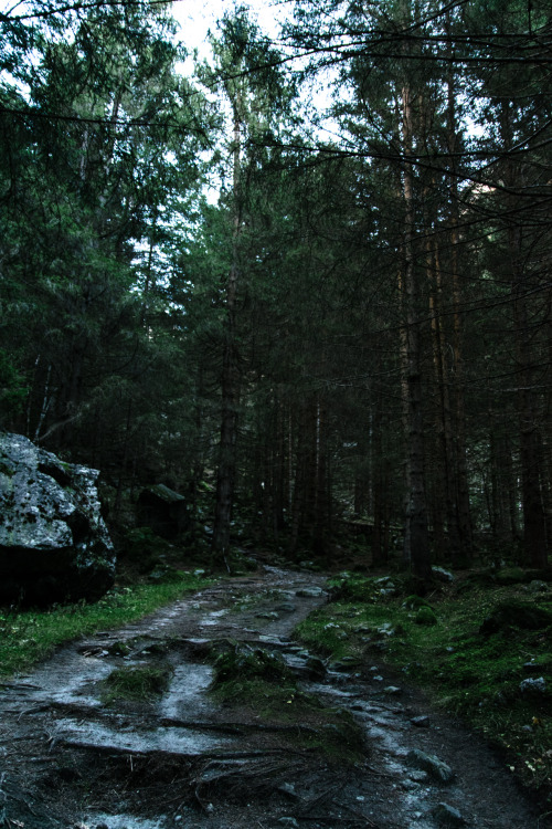 martacorss: blue hour on the trail marta cors | flickr | instagram