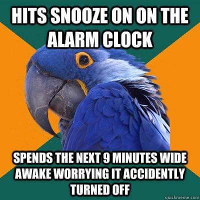 jackiereblogsthis: garbagepossum:  ithelpstodream:  paranoid parrot  Holy shit I normally ignore these memes but I literally do all of these things. The fact that this parrot knows me is making me nervous.  I’m a fucking paranoid parrot. 