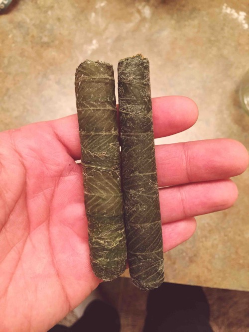 worldofnugs:  THC-gars: weed, hash & kief rolled in marijuana leaves