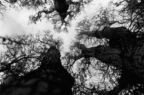 maudit:  "Why am I me and why not you?Why am I here and why not there?When did time begin and where does space end?"
