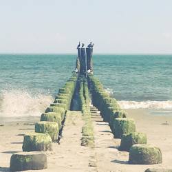 at Jacob Riis National Park &amp; Beach