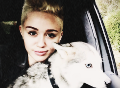 Lovatics & Smilers
