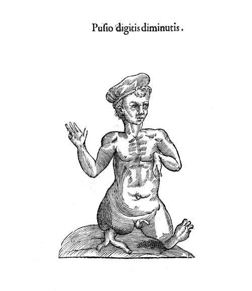 deathandmysticism: Vlyssis Aldrouandi patricii Bononiensis Monstrorum historia,  1642 