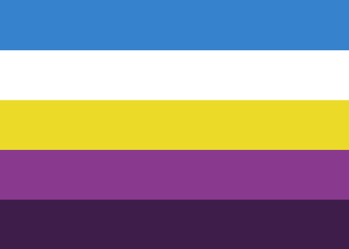 [Exclusionists and ace ‘neutral’ people do not clown here.]This flag is merely a suggestion. You do 