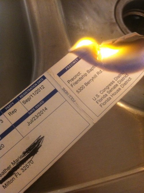 freexcitizen:  tiffanarchy:  chikadee:  micdotcom:  Republicans burn their voter ID cards to protest Trump Trump is the presumptive GOP nominee and that prompted some ex-Republicans to set their voter identification cards on fire. Meanwhile, others posted