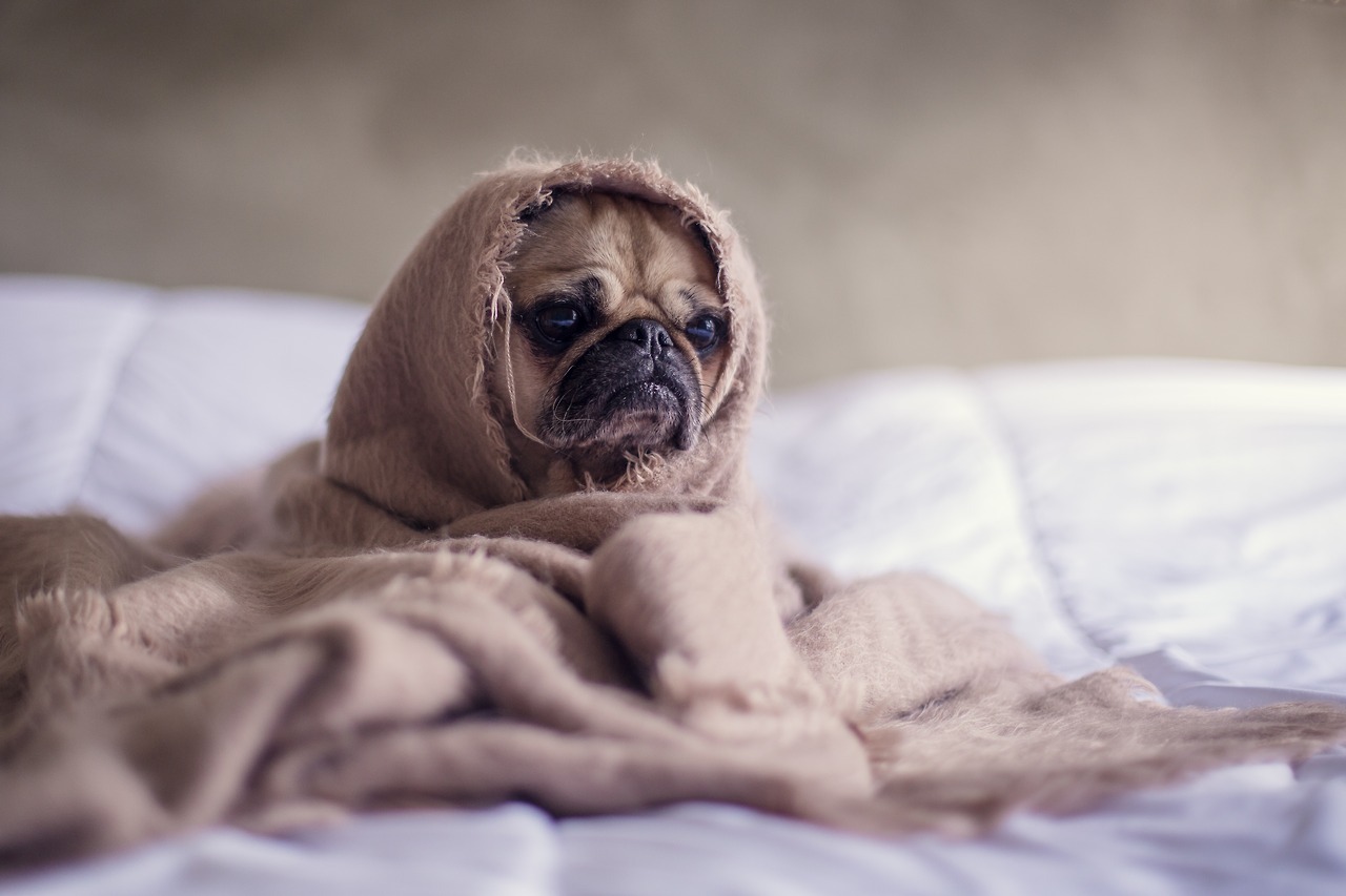 regular-love:    “Why is life so hard?’’  