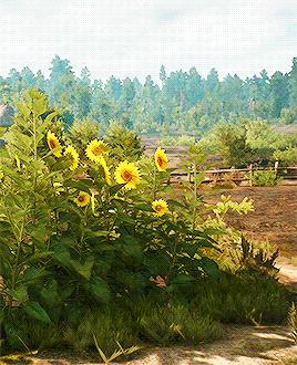 ladyennefers:around white orchard