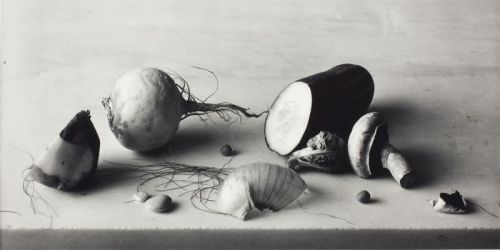 Still Life with with Onion Skin, New York, 1991Irving Penn