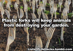 fangirltothefullest: halfdecenthomestucksprites:  falsepalindrome:  resting-dick-face:   listsoflifehacks: Genius Gardening Hacks I do a lot of this shit. The vinegar and baking soda stuff I’ll have to try. You can also use craft paper that they sell