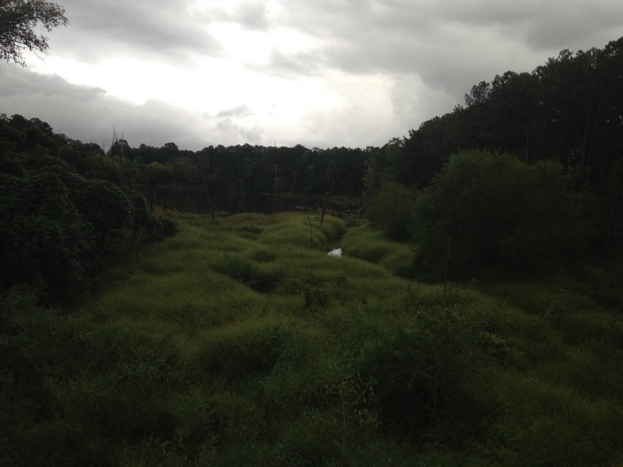 It&rsquo;s been a rough day. Felt impulsive and channeled that into a walk. The