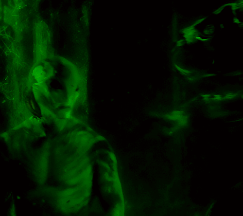 Hellboy (2004) Directed By Guillermo Del Toro