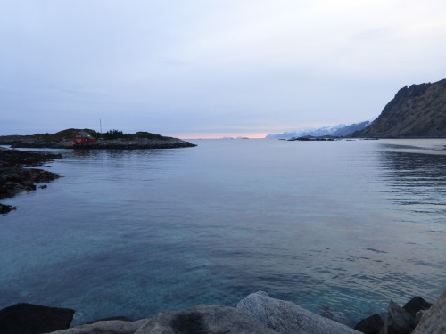 neveralonealwayswithyou: Lofoten, NorwayOriginal Photography by http://neveralonealwayswithyou.tumbl