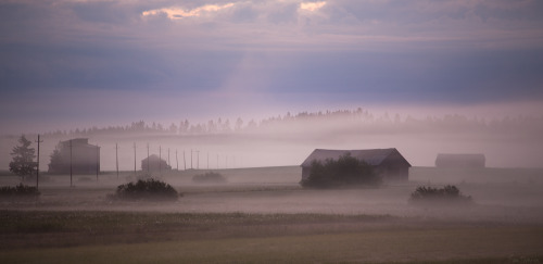 Porn photo tiinatormanenphotography:  Misty morning. 22th