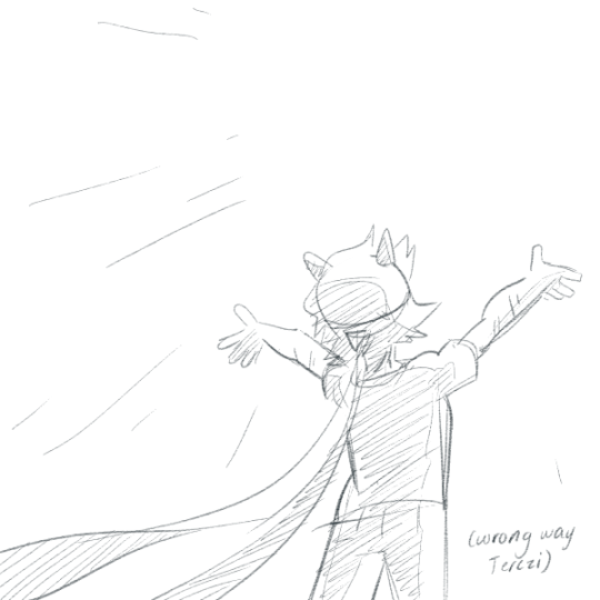 tfw someone calls you a misandrist for not drawing enough of their favorite HS guy chars