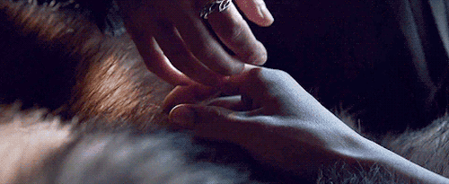 builtmythrone:Jon Snow &amp; Daenerys touching hands
