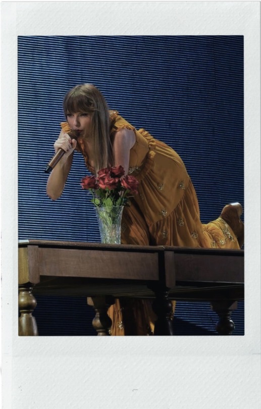 Eras Tour Polaroid Set: Evermore