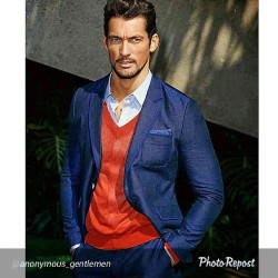 Dgfansspain:  By @Anonymous_Gentlemen “David Rocking Royal Blue ♦#Davidgandy”