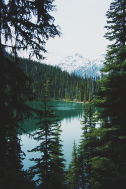 i-doll:  0601; joffre lakes VI