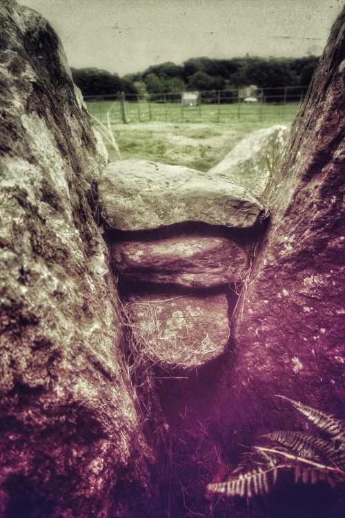 Bryn Celli Ddu Burial Chamber, Anglesey, North Wales, 14.8.18.