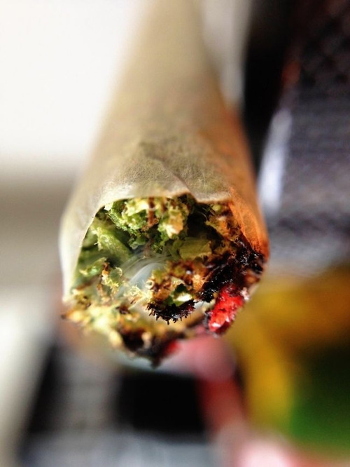 Light up & toke away