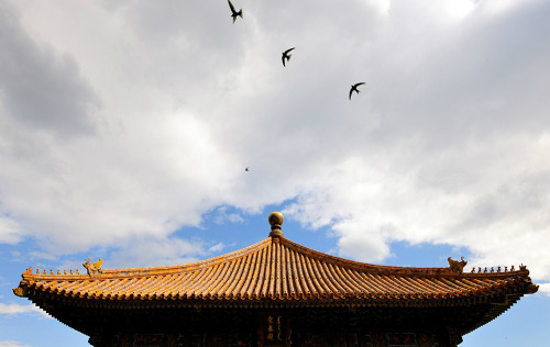 Forbidden City 紫禁城 by 故宫博物院