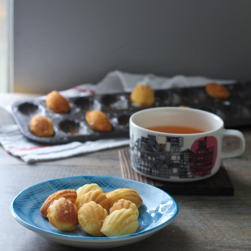 teatimewithemma:(via grapefruit madeleines | Joann Pai | Flickr)