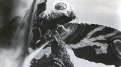 tfisher88:Mothra vs. Godzilla (1964), also known as Godzilla vs. The Thing.  KAIJU