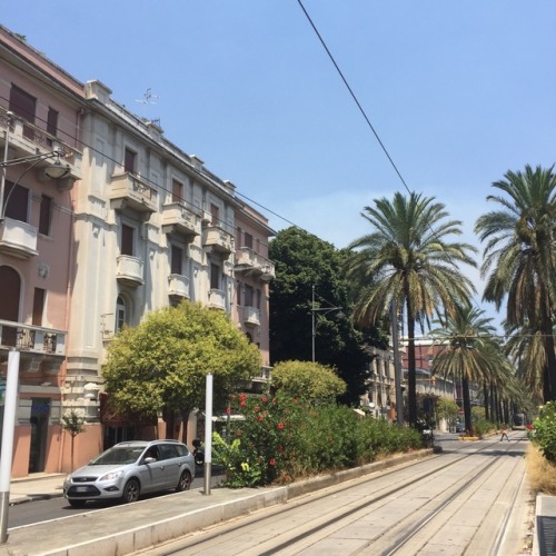 sivanouis:Waiting the tram was not so bad☀️