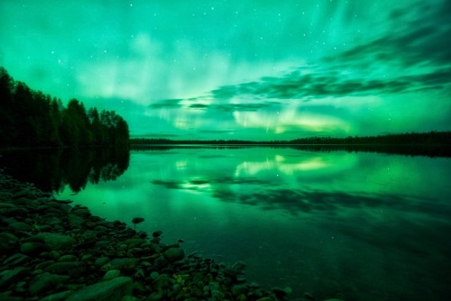Chasing The Lights // Alaska