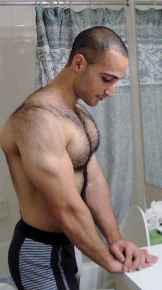 harrybacks:Hairy Shoulders 389