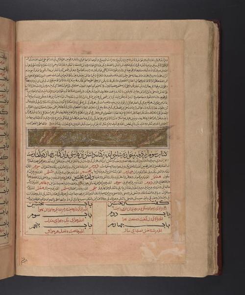 LJS 189 Zakhīrah-ʹi KhvārazmshāhīThis manuscript is a medical encyclopedia in 9 books, with disc