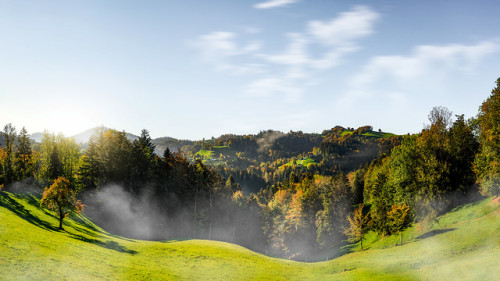 drxgonfly:Foggy Autumn Morning (by Roland Albanese)