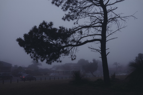 michaelwwilson-blog: Decent fog around the suburbs of Perth this morning. June, 2018.