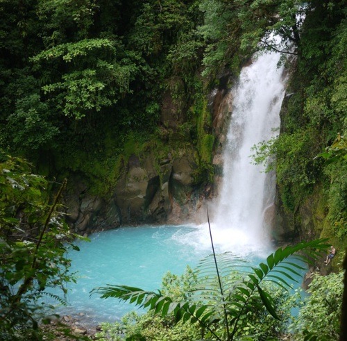 Tropical Ocean Mist