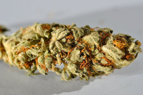 Puff Puff Weed