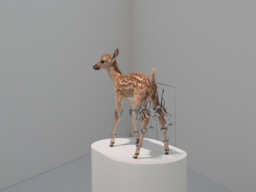 Odani Motohiko - Erectro (Bambi), 2003