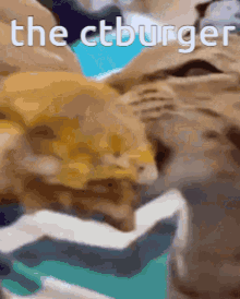 Burger Stimboard