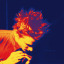 themusewarlock